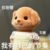 沈茹茹