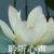老师（我太懒没取名）