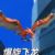 爆旋飛龍