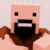 Notch