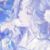 岑韵（作者）