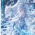 陈雪