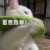 熾惟（作者）