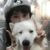 乔伊