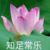林老师