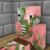 pigman