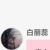 白丽蕊（妹妹）