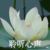 爸爸