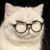 新猫王