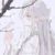 公孙意