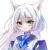 猫白灵