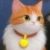 猫冬冬