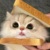 系统