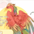 鳳皇