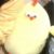 豆four脑