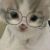 纾猫