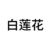 茶茶