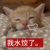 圍巾不更新.