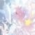 夢雪兒