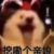 旁白（阿白）