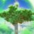 生命树