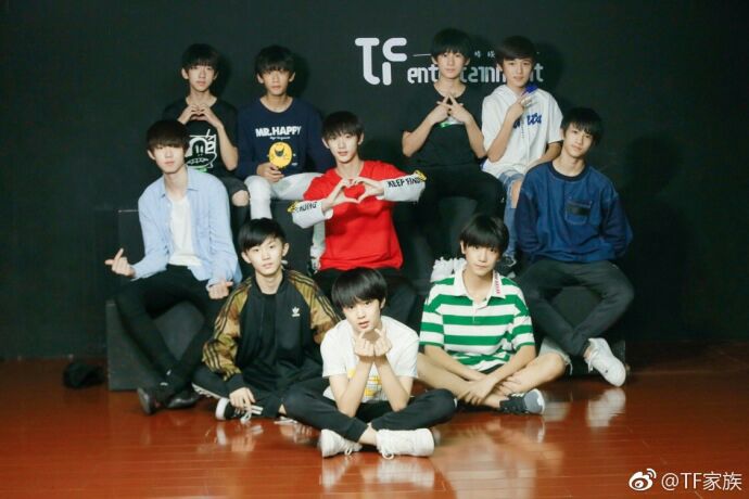 tf家族成员