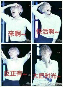 exo之:愛上了不該愛的他