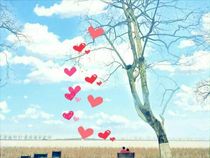 甜心小日常