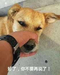 此書已刪除
