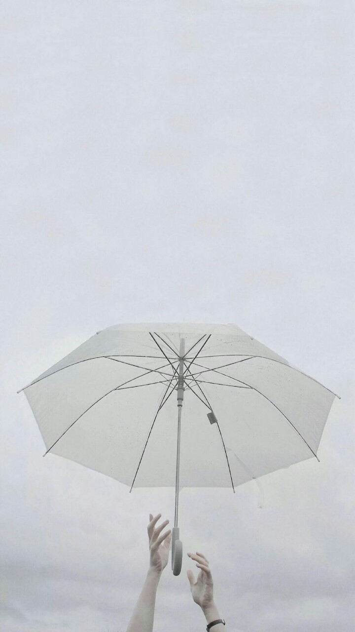唯美雨伞-宝藏图片(附封面图)-话本小说网