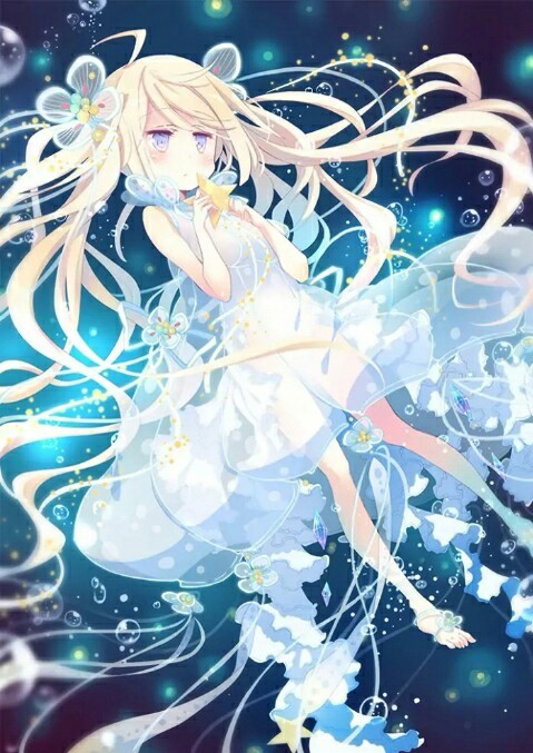 35.满天星的花语与传说,星星女孩的挚爱(1)