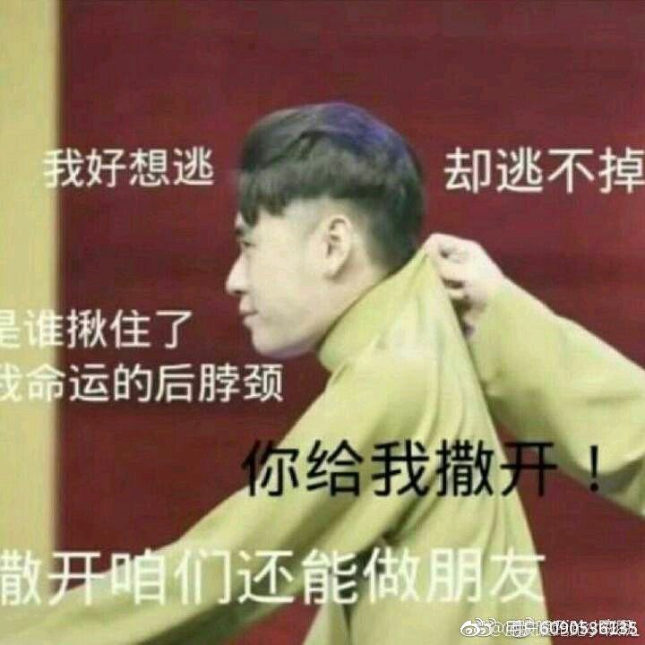 二爷表情贴视频包表情的可以图片