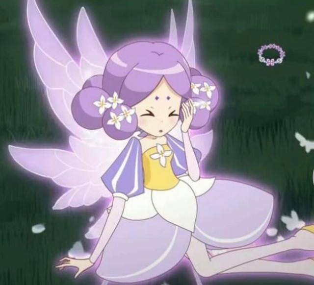 小花仙之花之法典(精灵王)