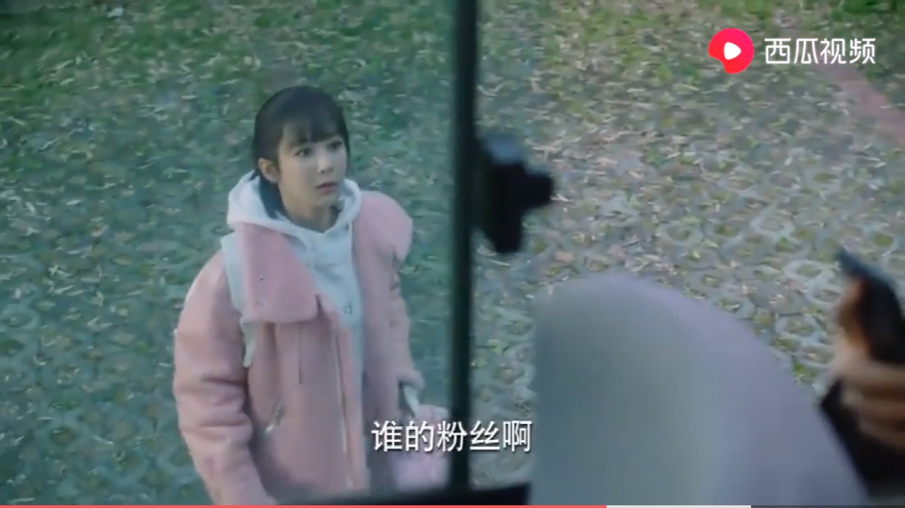 亲爱的热爱的佟白夫妇