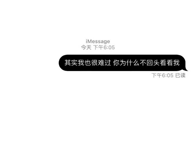 语录(2)ins风对话框