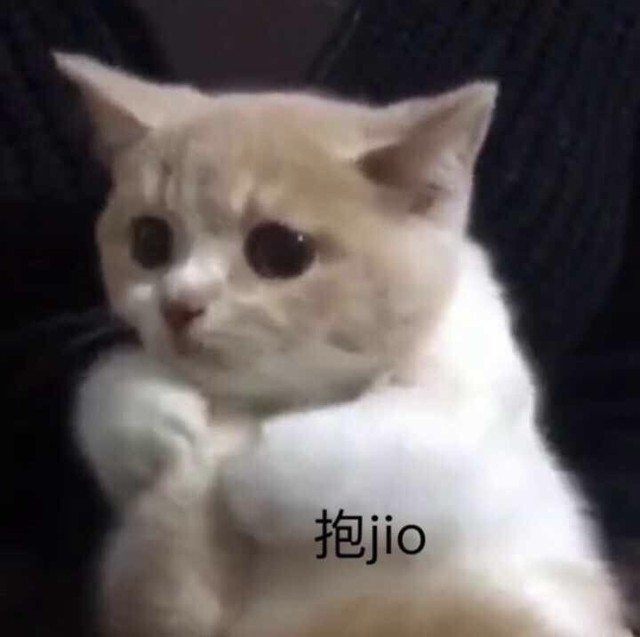 而这个傻家伙的表情就如下图一样,可怜兮兮的同时还正在