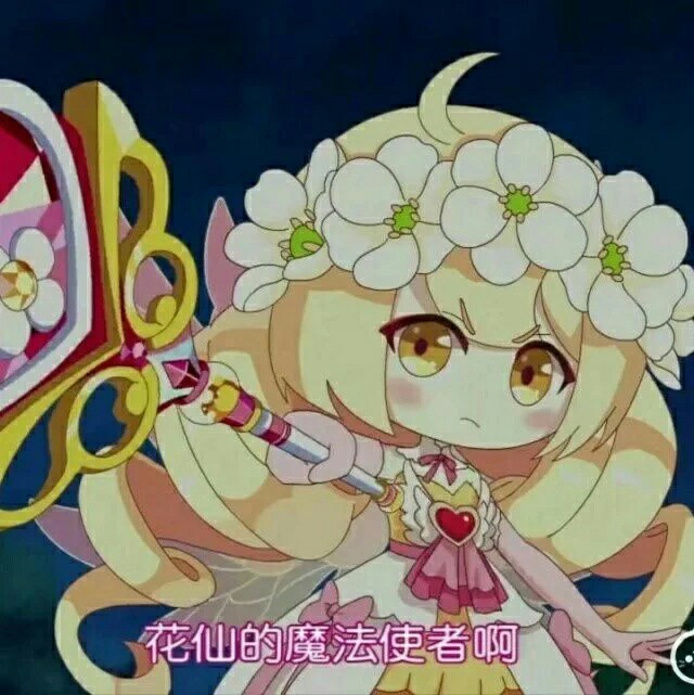 小花仙放图区