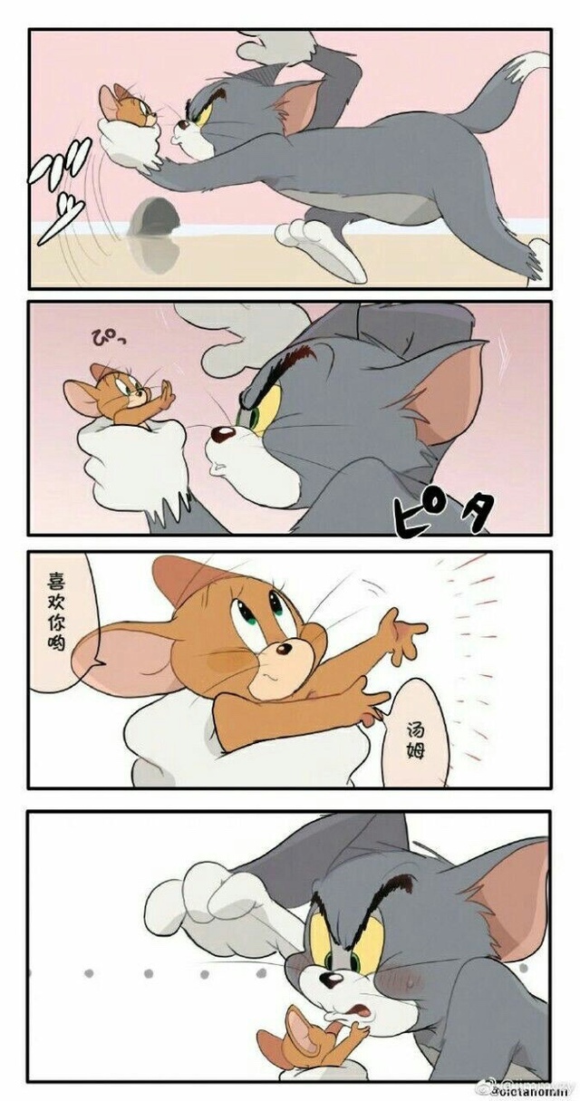 汤姆猫和图茨和图多盖洛-猫和老鼠小剧场(游戏党专属)