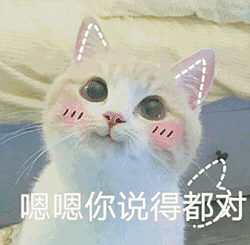 华晨宇:王牌特工