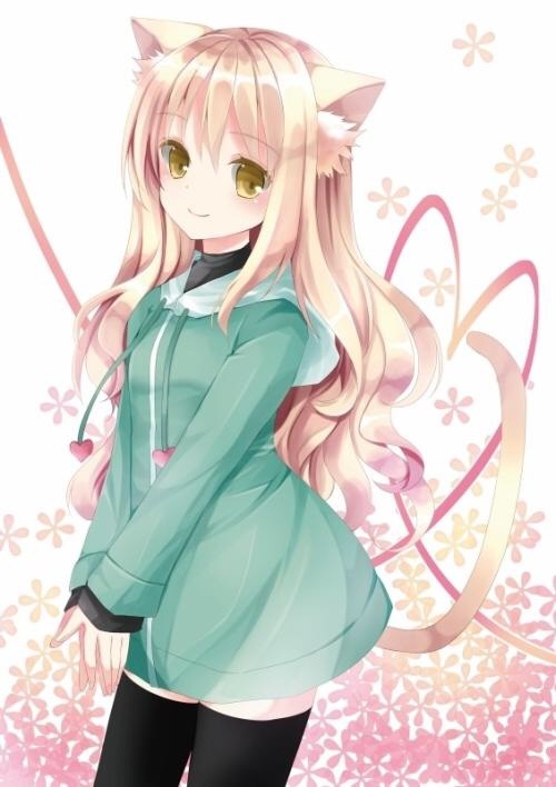 4二次元猫耳女生10张