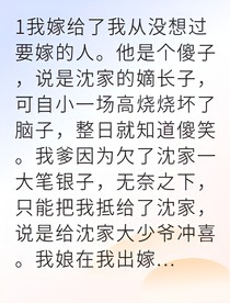 替嫁傻夫我成家中顶梁柱