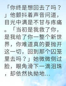 政治聯(lián)姻里我成為他的光