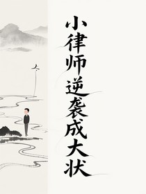 小律师逆袭成大状