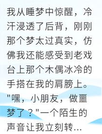我被禁戏箱里的东西缠上了