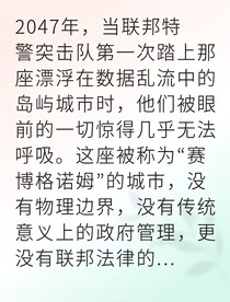 赛博之影