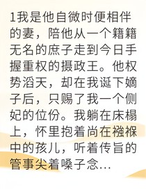 从侧妃到摄政王府的掌控者