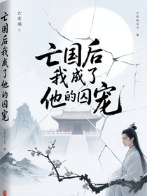 亡國后我成了他的囚寵