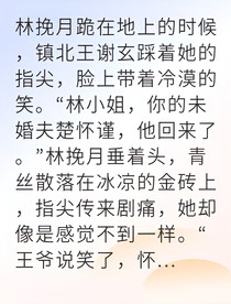 從貴女到囚奴我親手復仇