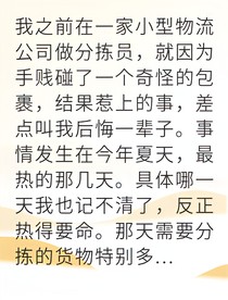 幕后黑手竟逼我送炸彈