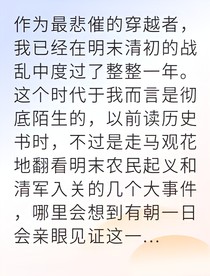 穿越明末我为李定国算乾坤